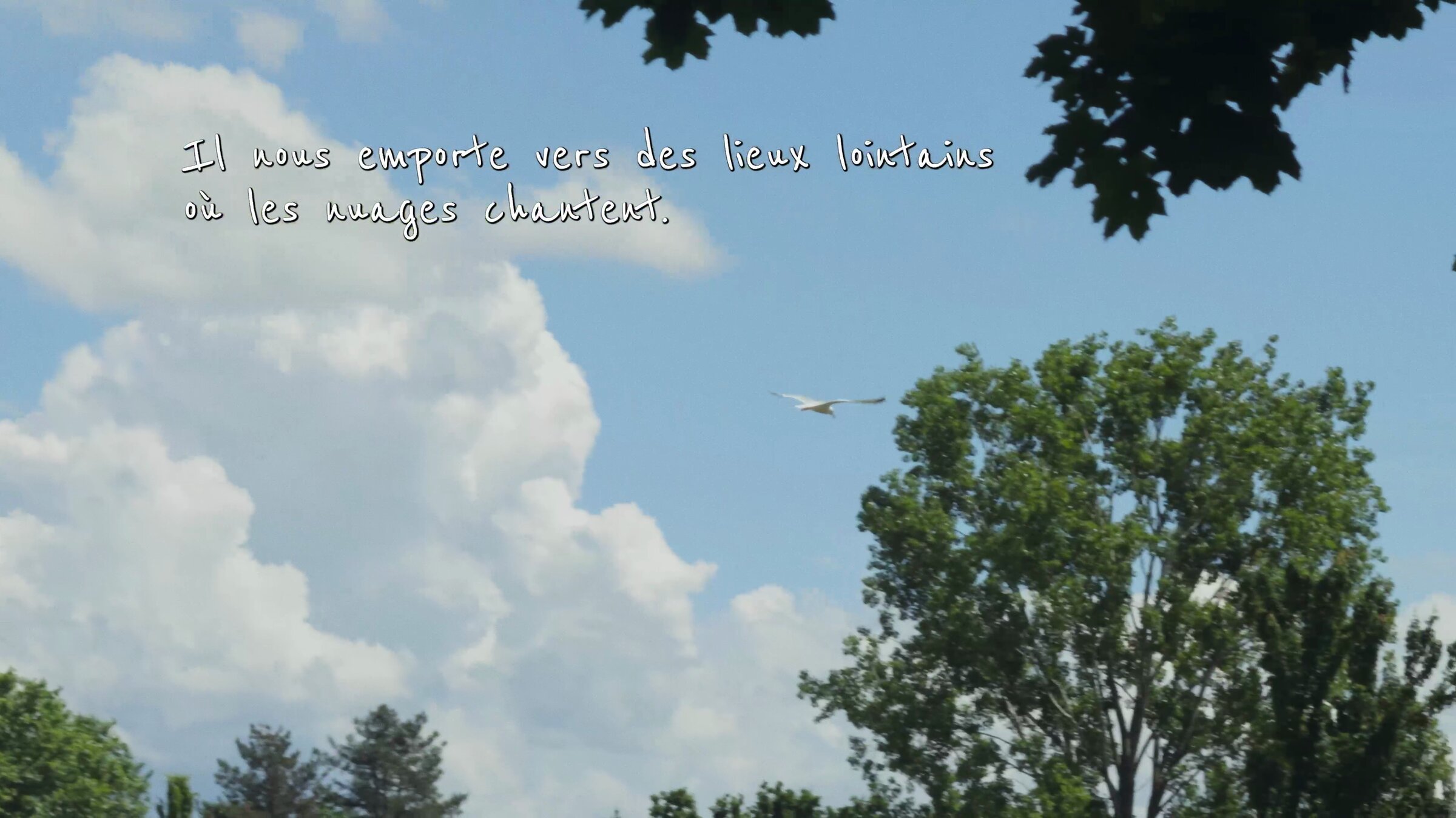 Ciel, mouette, citation poétique en surimpression. Adonis Bondek, Création en Cours.